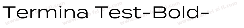 Termina Test-Bold字体转换